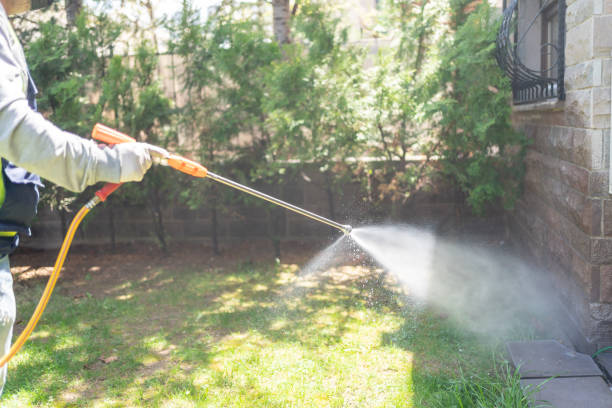  White Sands, NM Pest Control Pros