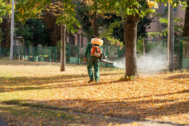 Wasp Removal Services in White Sands, NM