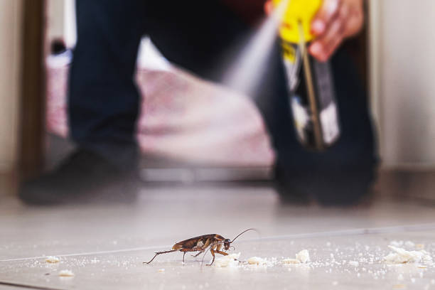 Best Wildlife Control Services  in White Sands, NM