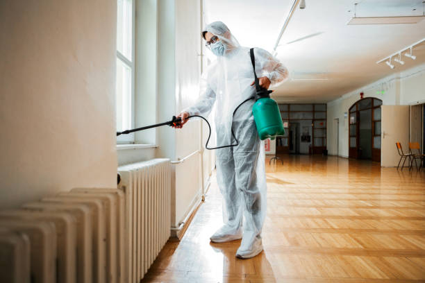 Professional Pest Control in White Sands, NM